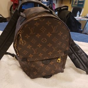 Louis Vuitton women med size Palm Springs Backpack